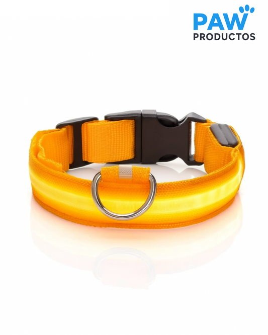 GlowPaw™ - Collar LED Reflectante